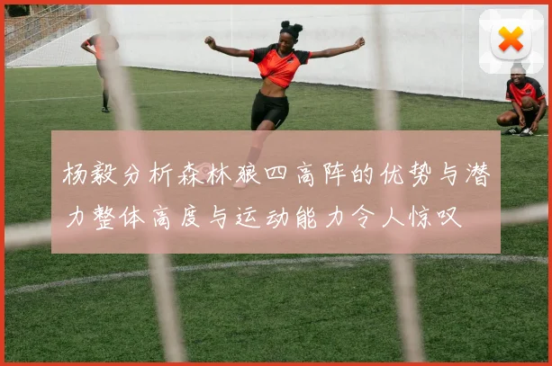 杨毅分析森林狼四高阵的优势与潜力整体高度与运动能力令人惊叹