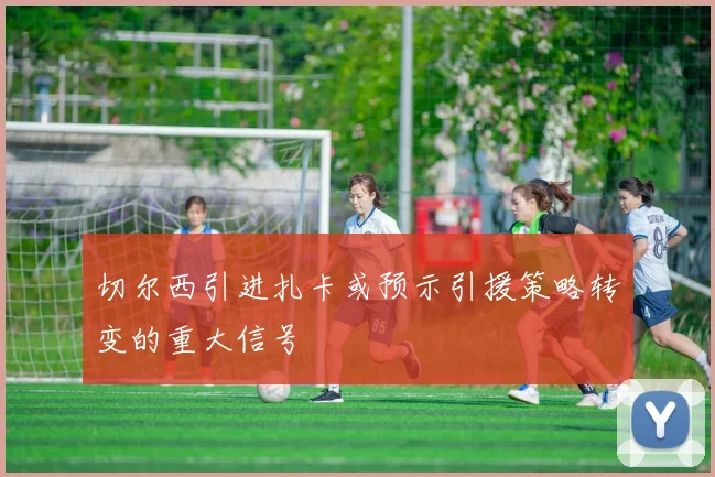 切尔西引进扎卡或预示引援策略转变的重大信号